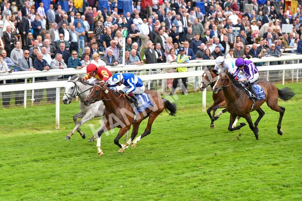 180523-Race 4-The Foxes-9709 - Race 4 3.35pm Al Basti Equiworld Dubai Dante Stakes