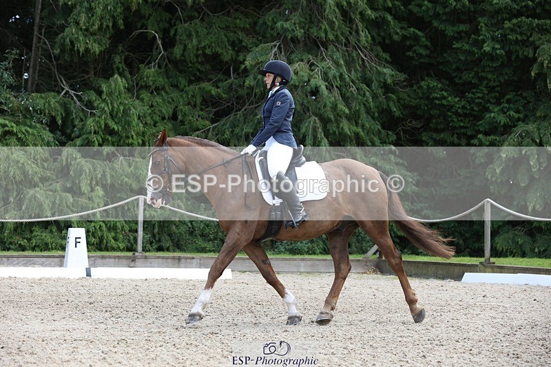 230812-134623-04305 - Cls 5 Novice Bronze 13.40 to 14.45 break