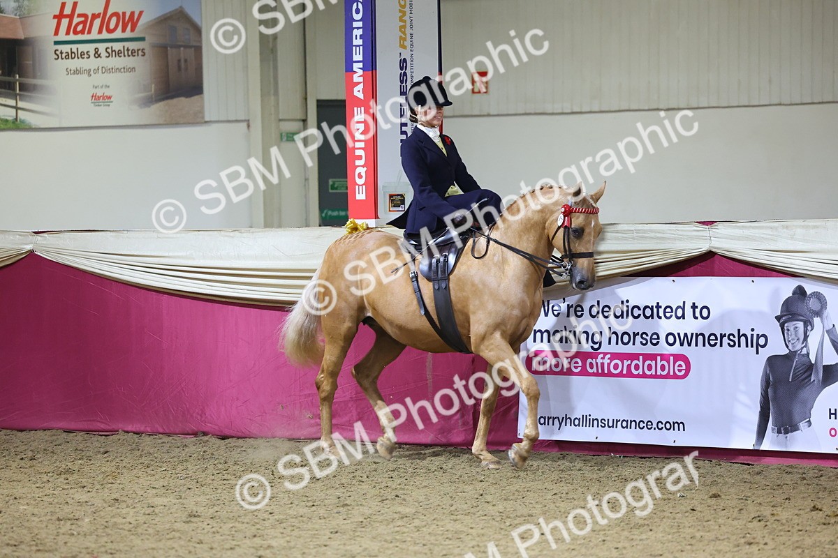 0B8A4231 - Class L Side Saddle Champ
