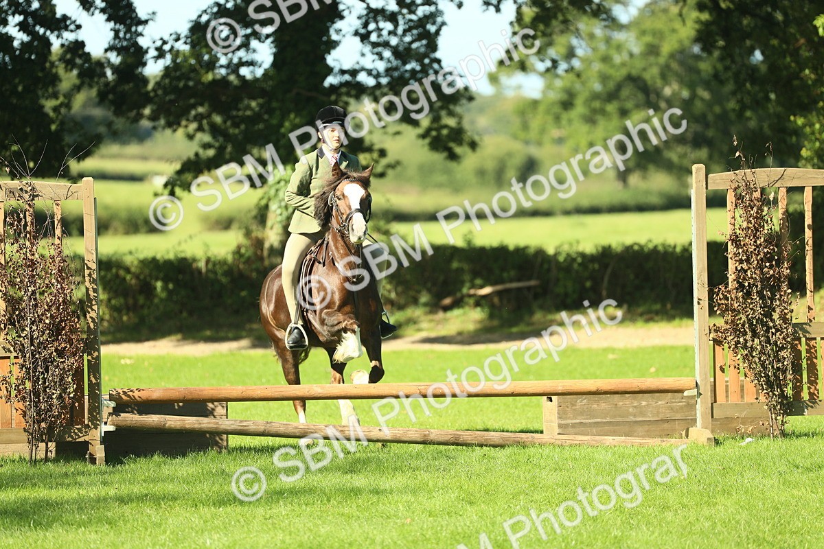 SBM_37459 - S29 - Novice & Newcomers Working Hunter Pony