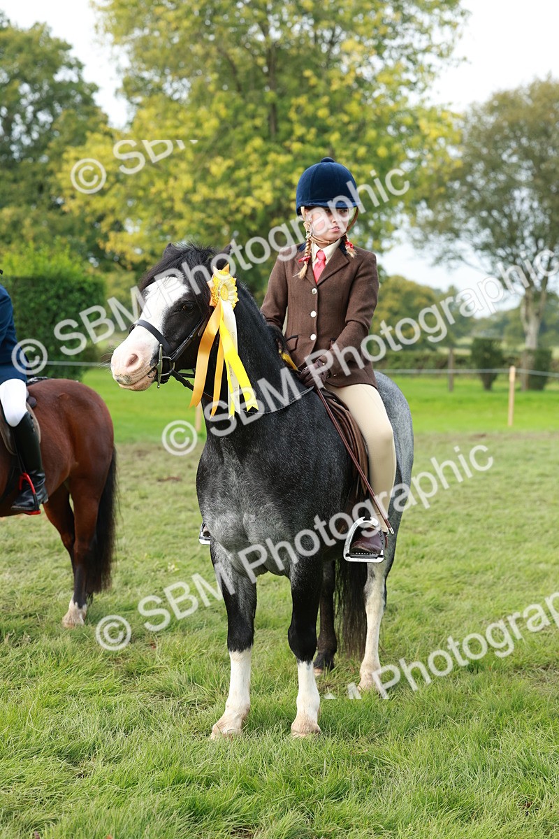 SBM_56470 - S39 - Starters In Hand Showing