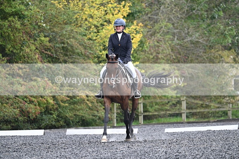 WJ7_3779 - Time 11:04 to 11:38