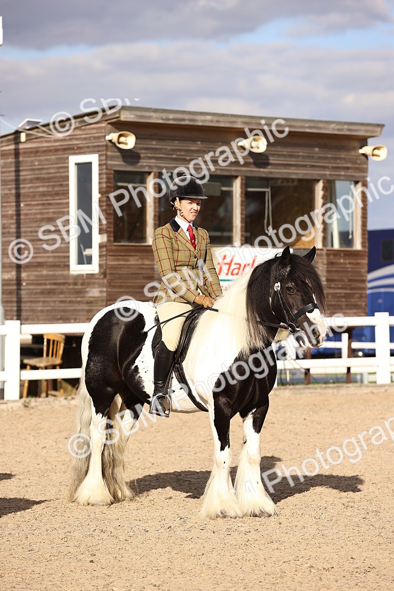 SBM_18266 - Class 423 - Equitation (best rider) Adult