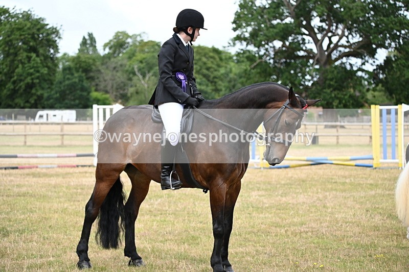 WJ6_4048 - Class 9 Tack & Turnout