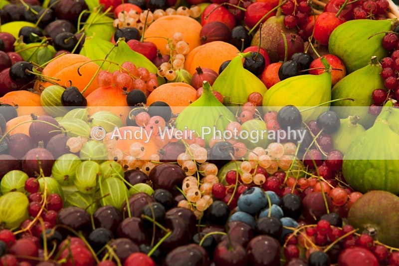 20100723_1796 - Miscellaneous Photographs