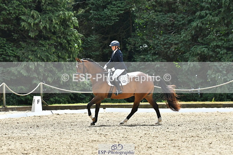 260801A-120958-03828 - Prelim Bronze Break - End