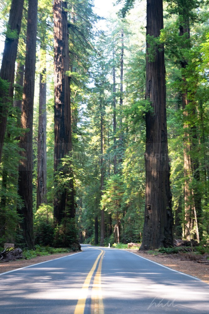 DSC_2762 - Roads