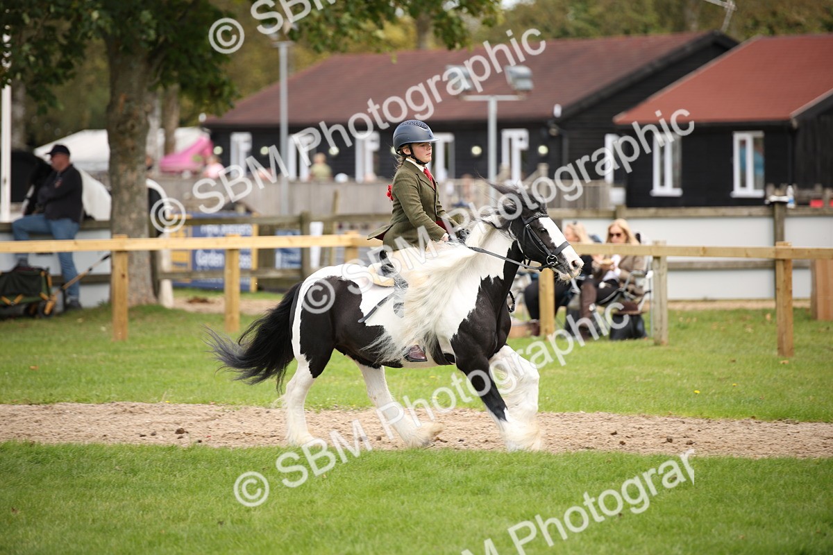 SBM_42362 - S13 - Pony Club Pony