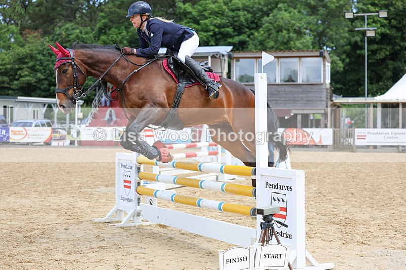 3E7A3008 - Class 4: Senior British Novice/90cm open