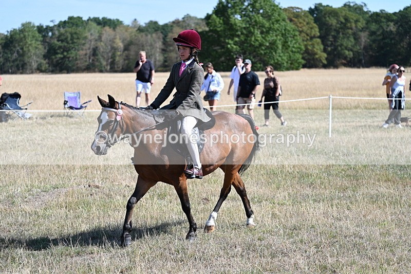 WJ7_4070 - Class 9 Mountain & Moorland Ridden