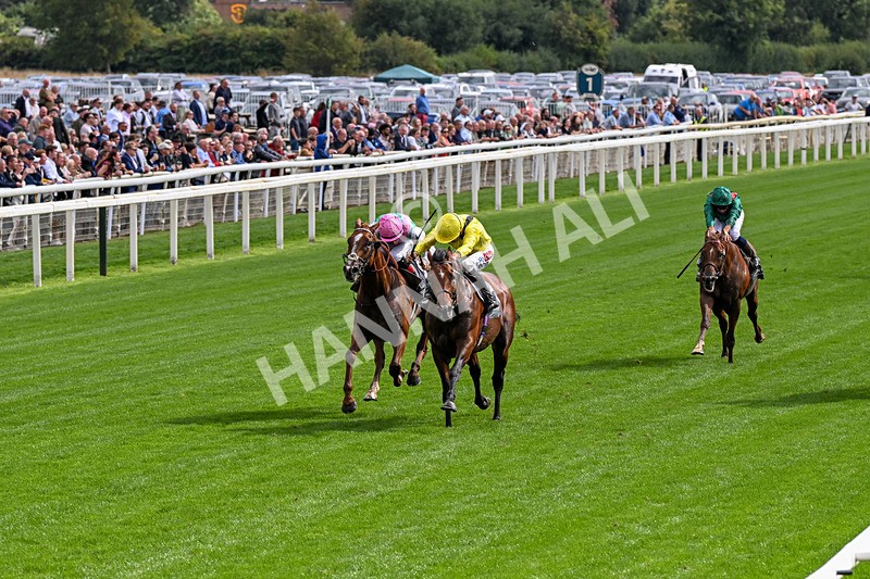 190826-Race 4-Item-0449 - Race 4 15.35pm Juddmonte International Stakes