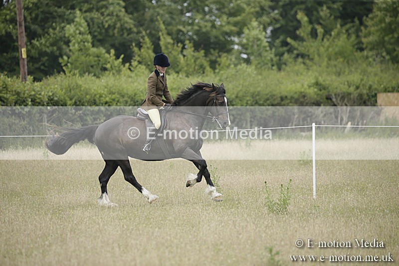B230619-0487 - Bourne Valley Riding Club Summer Show 23/06/19