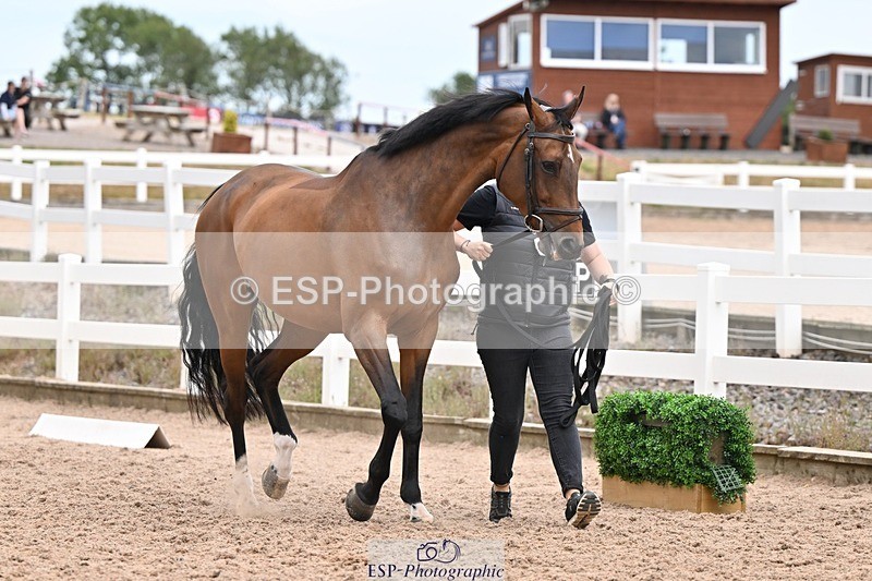 250716-162547-02634 - Trot Up 3.30 to 4.30