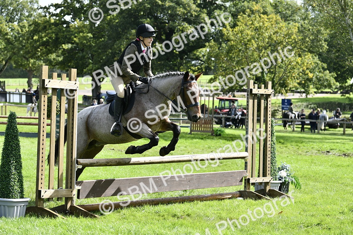 SBM_45668 - S33 - Working Hunter Pony