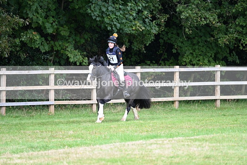 WJ7_8000 - 40cm Time 10:49 to 11:18