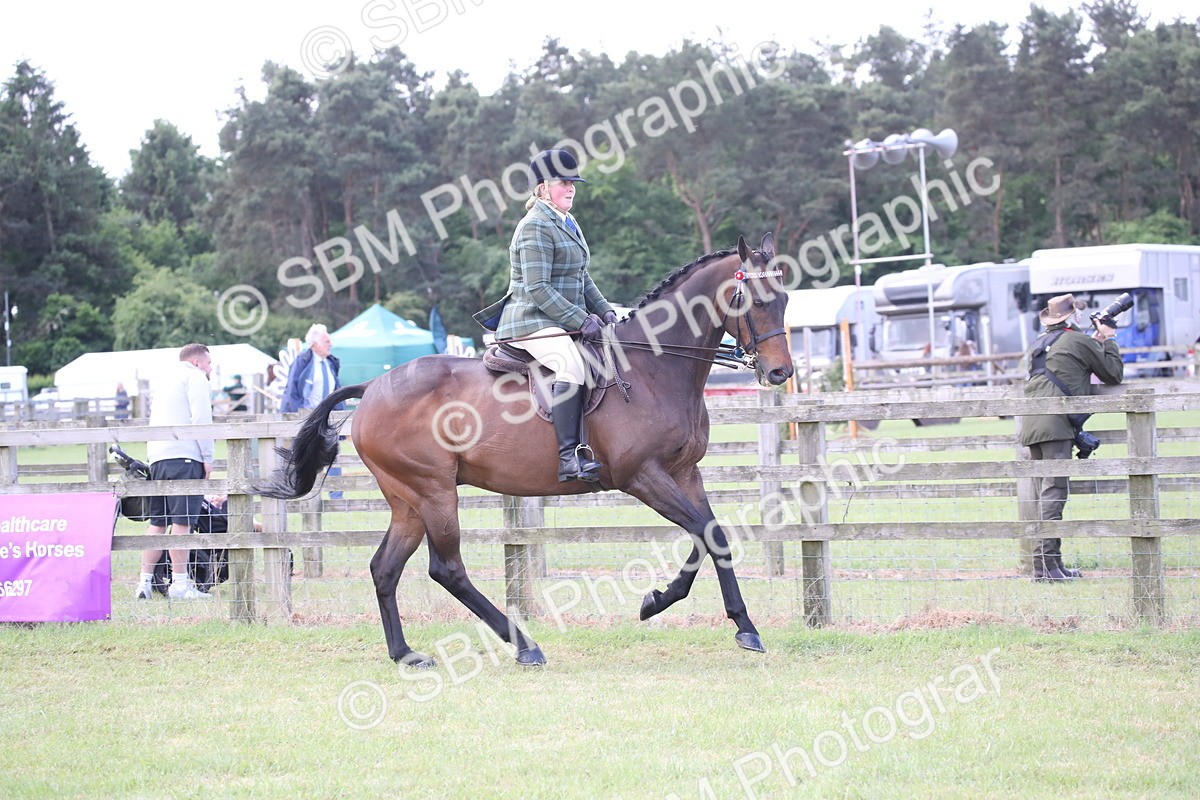 SBM_14191 - Class 113-114 - Retraining of Racehorses Ridden