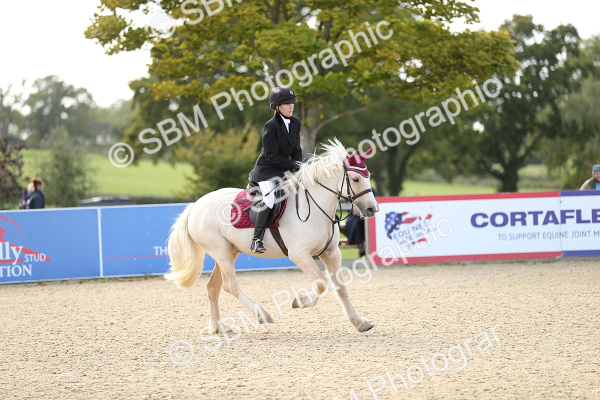 SBM_08478 - J30 - Senior Horse & Pony 70cm Championship