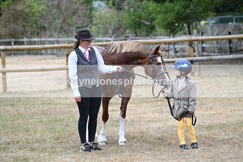 WJ7_8091 - Class 4 Prettiest Mare up to 14.2hh