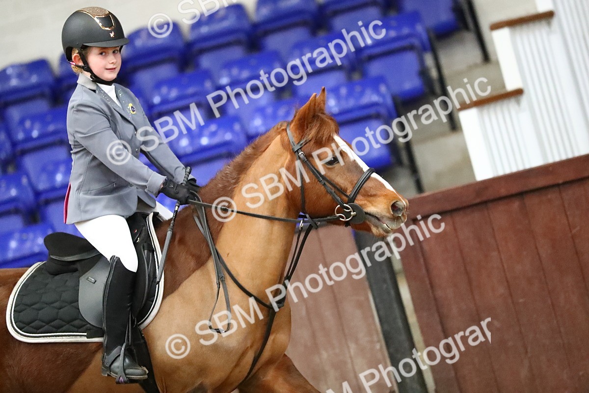 SBM_000537 - Class 2 - 40cm