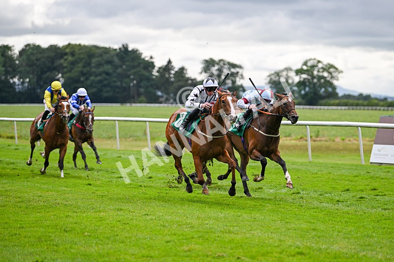 030724-Race 5-Petra Celera-0860 - Race 5