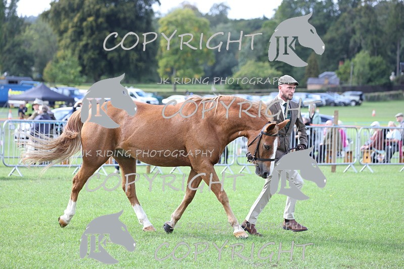 APP_3022 - Class 10a/b M&M in hand