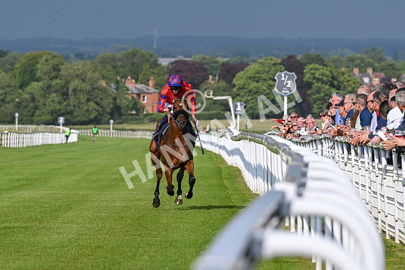 170625-Race 1-Command The Stars-5584 - Race 1