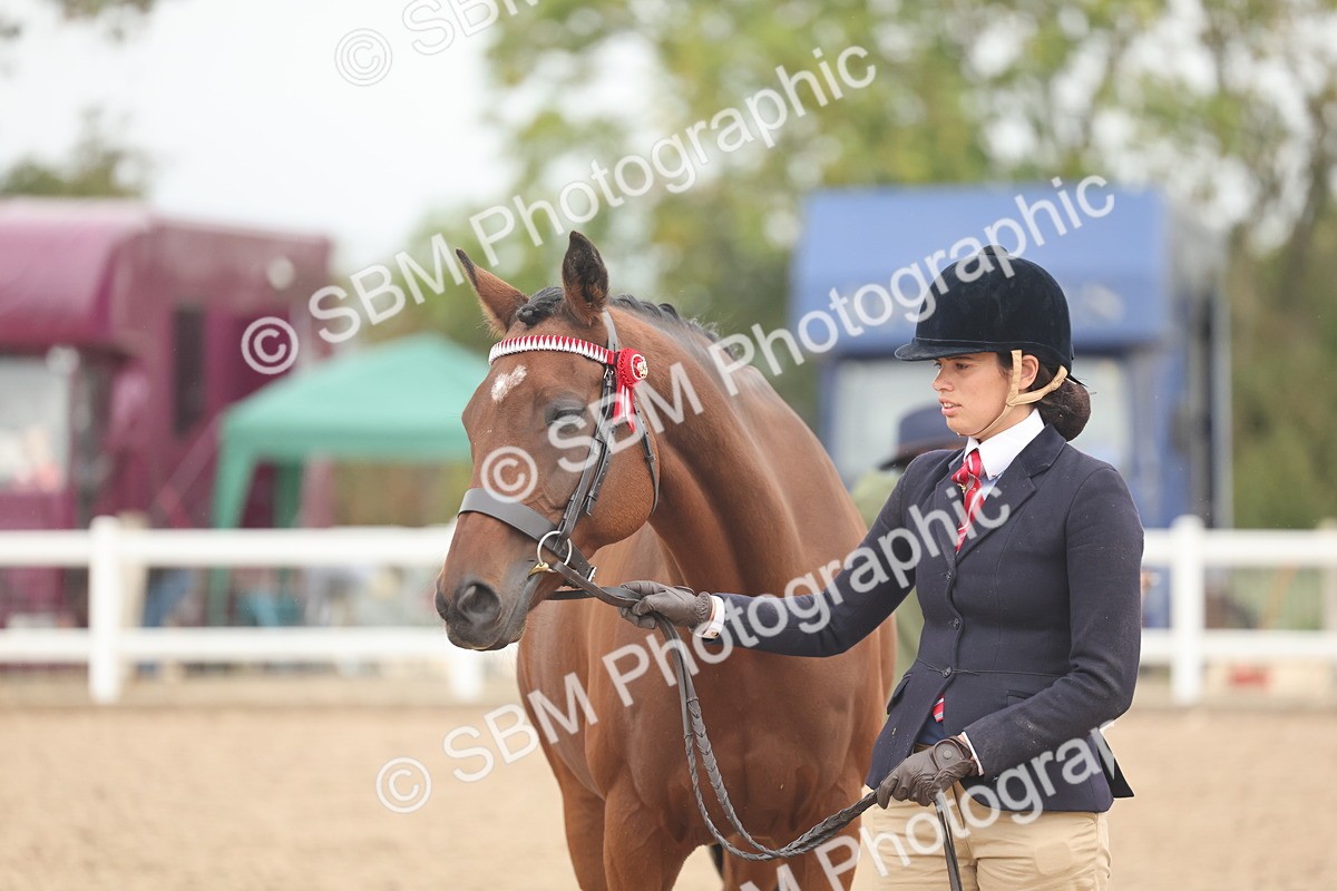 SBM_19872 - Class 318 - IH Part Bred Horse-Pony