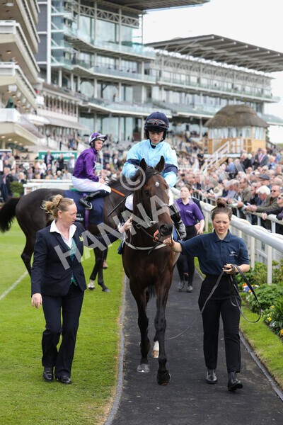 yr12052022r4-30 - Race 4 3.35pm Al Basti Equiworld Dubai Dante Stakes