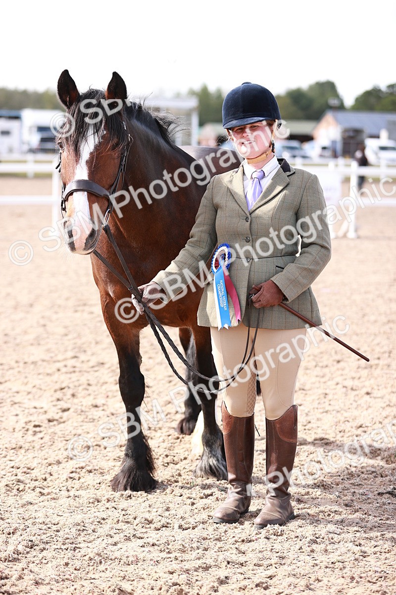 SBM_22923 - Class 706 - IH Veteran