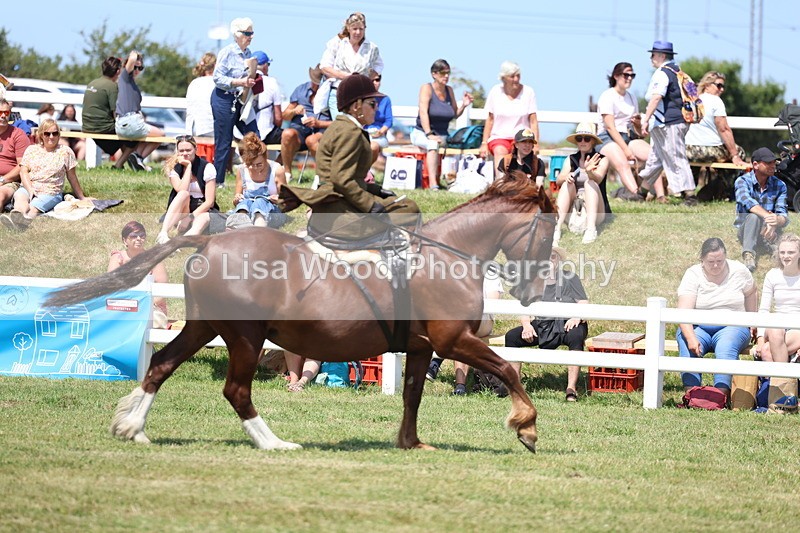 3E7A9617 - Class 13: Side Saddle