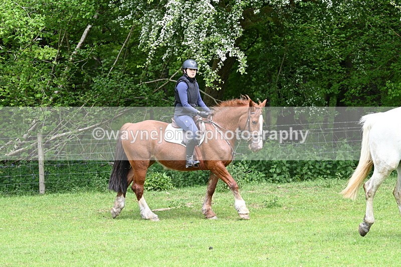 WJ7_2236 - Group 4 A&B Cameras