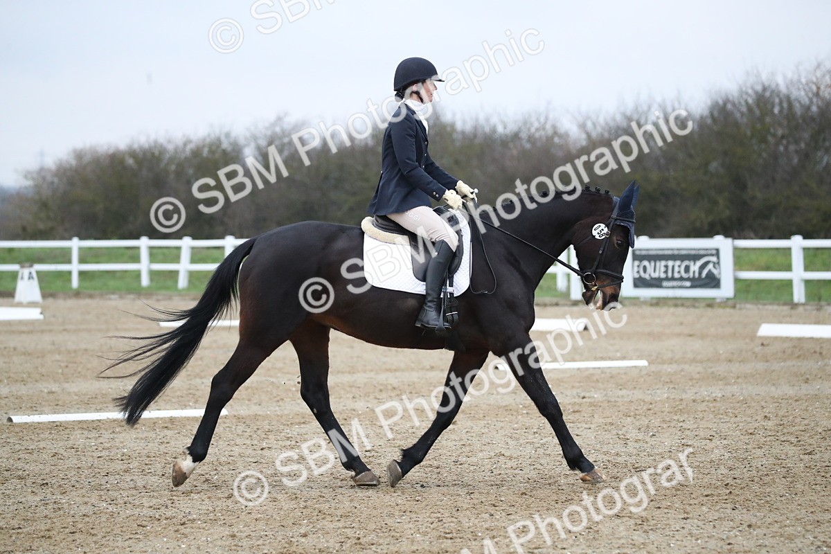 SBM_004914 - Novice 3