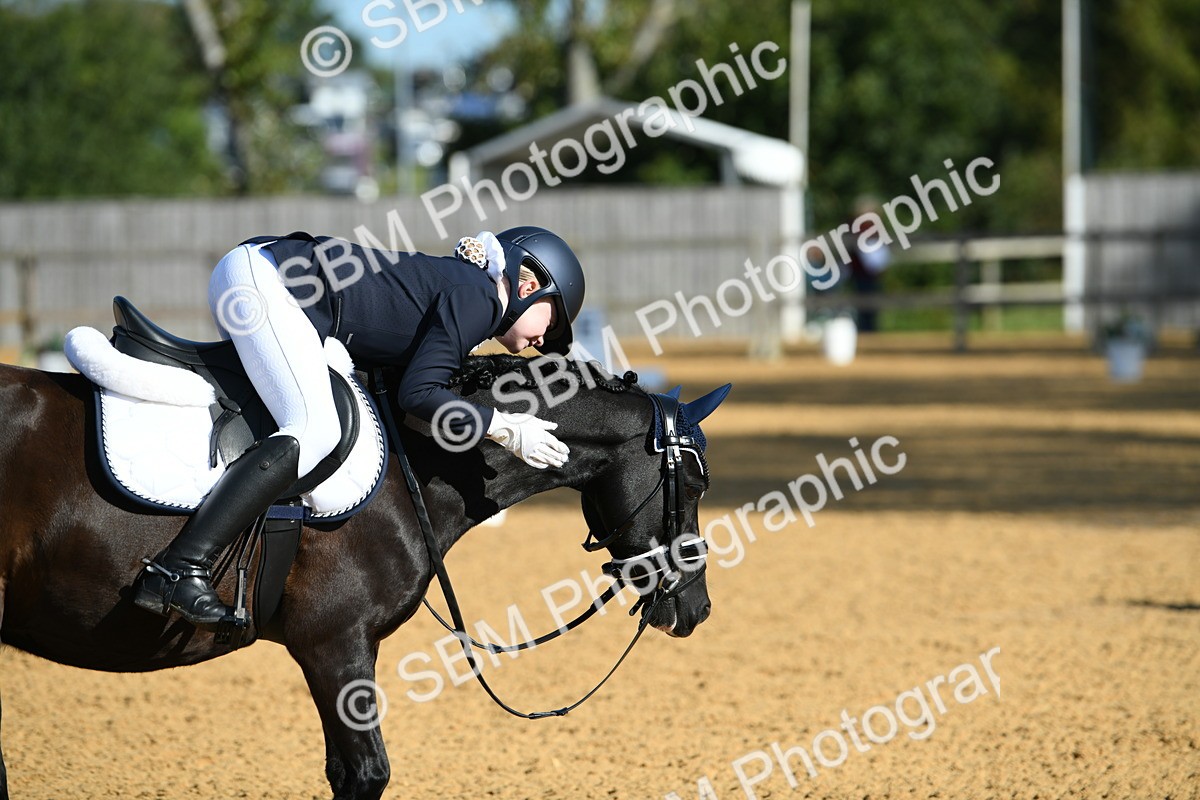 SBM_16350 - D4 - Small Tour Championship - Intro B