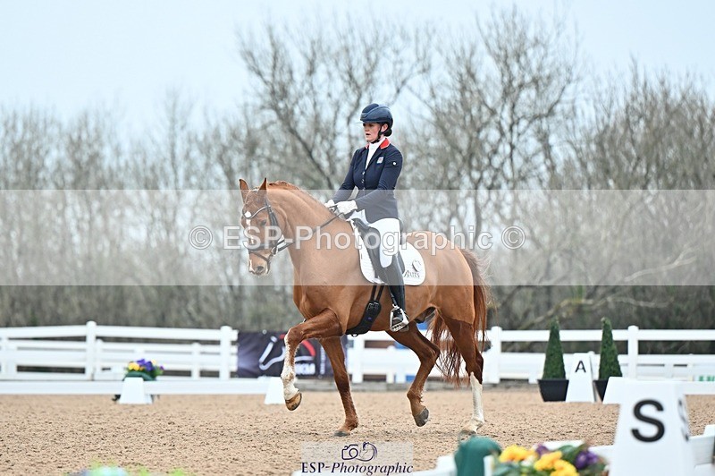 250214-094206-00654 - 161-Maddy.Frewin-Zevrado.Bliss