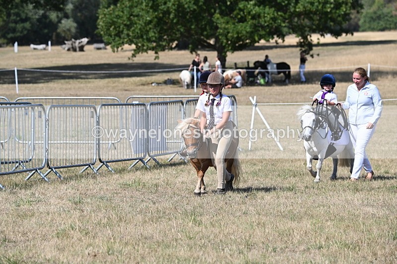 WJ6_9485 - Class 40 Cheekiest Pony/Horse