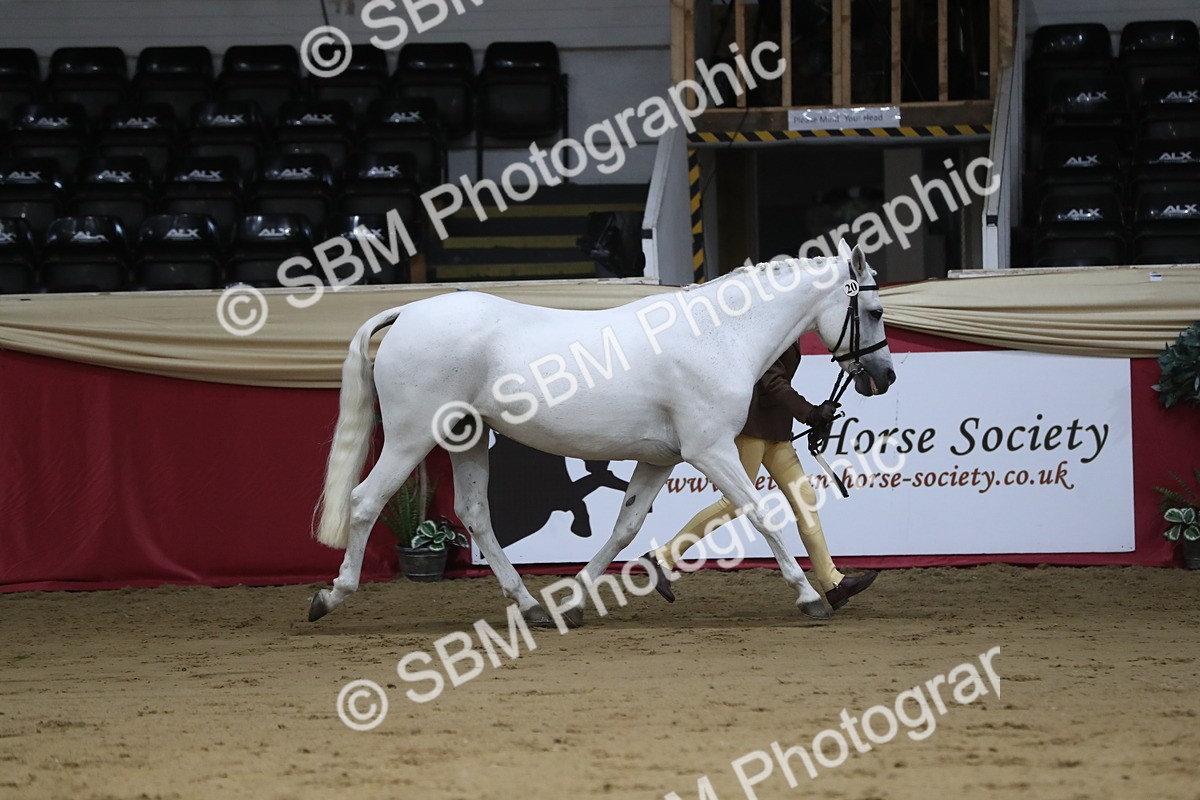SBM_05027 - Class 8R- Regional -IH Veteran