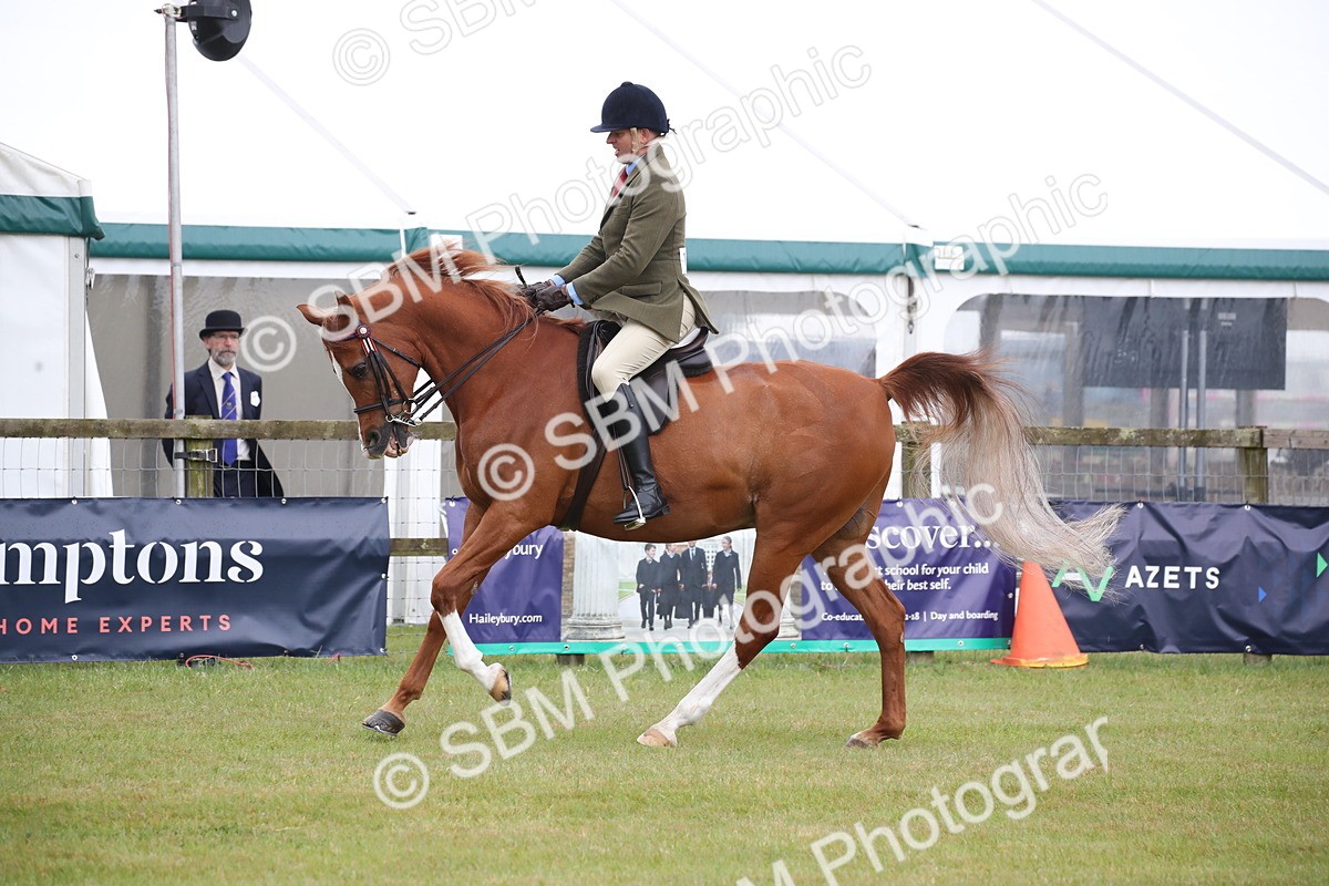 SBM_03637 - Class 21 - 22 - Ridden Arab and Part Bred/Anglo Arab