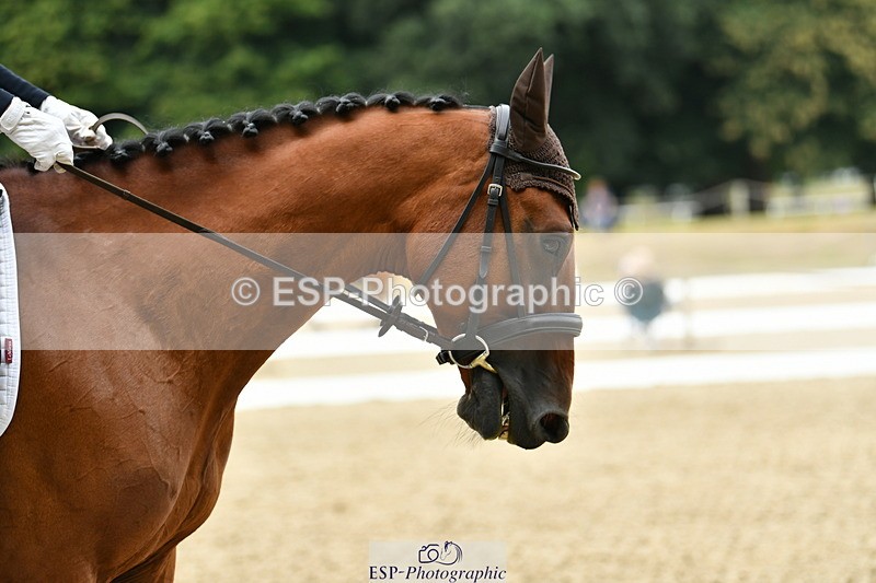 250718A-114401-01212 - 034-Sarah.Fisher-Demitrius.Lark.Endeavour