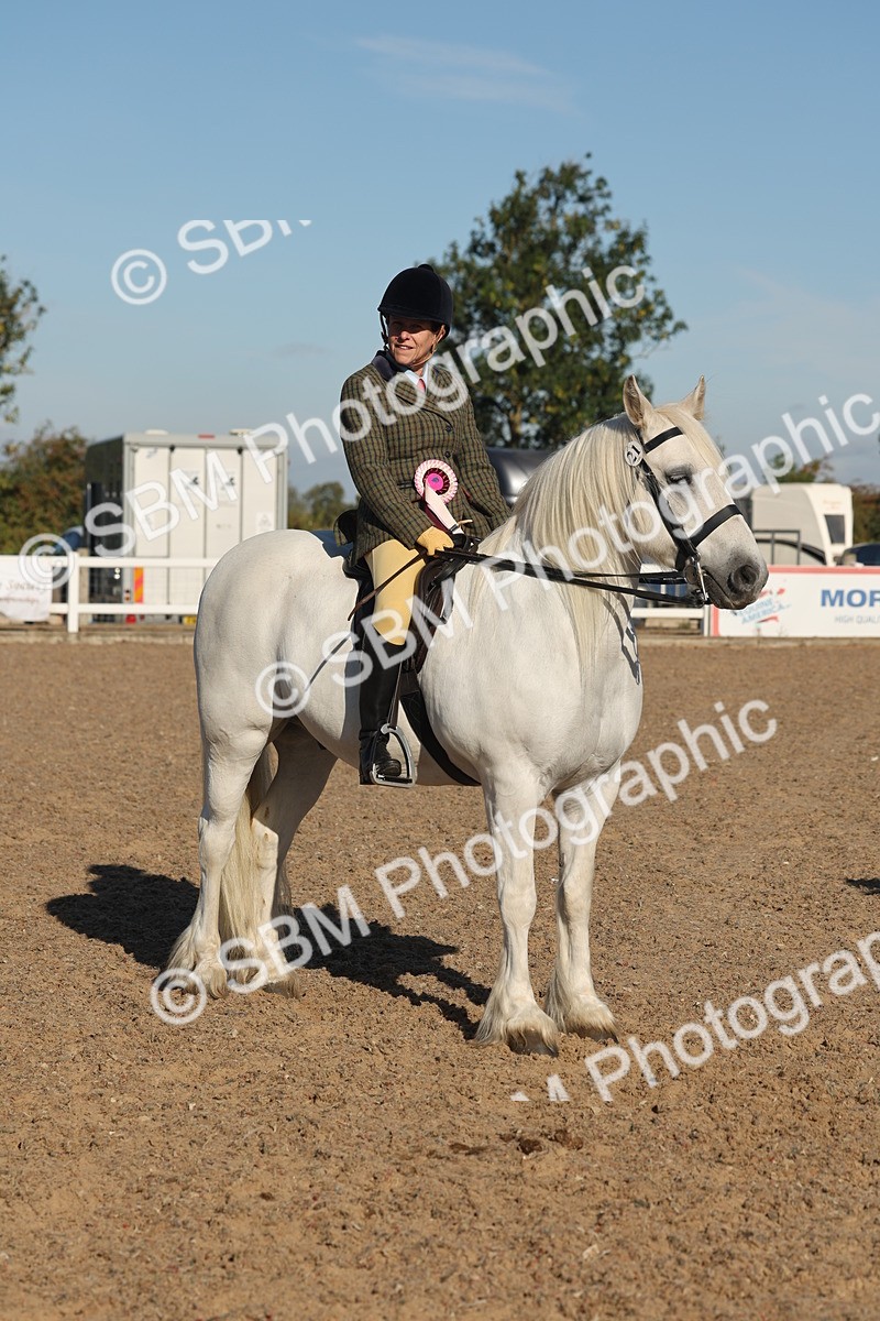 SBM_11136 - Class 302 - Ridden M&M Large Breeds