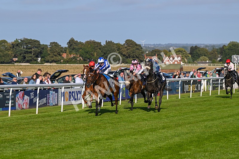 180924-Race 7-Fox Avatar-5216 - Race 7