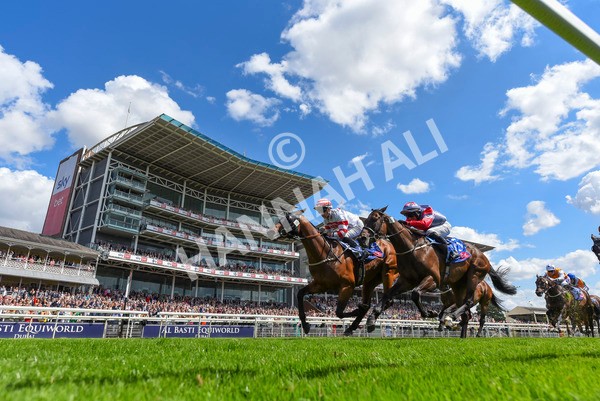 290723-Race 2-Aberama Gold-9037 - Race 2 2.40pm Sky Bet Dash Handicap