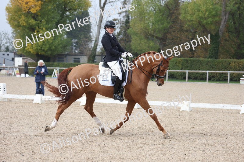 20251012-0786 - Class 9 - Advanced Medium 3