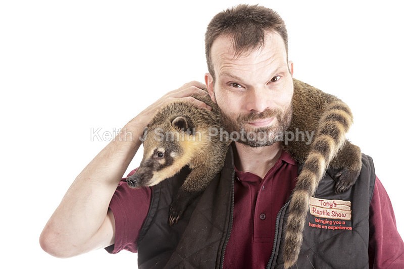 2SKJ8872 - Roaming Reptile Show. II