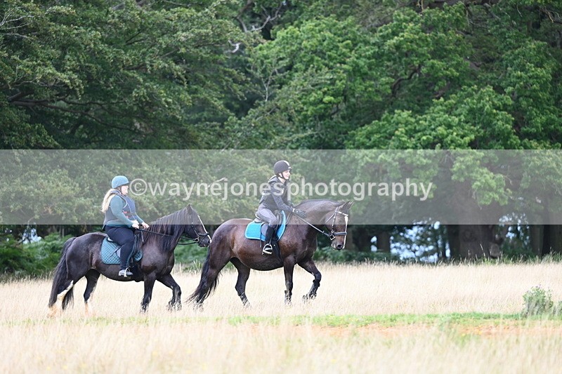 DSC_5113 - Time at Statue 11:10 to 11:42