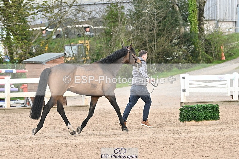 240417A-121935-00091 - 12pm to 1pm