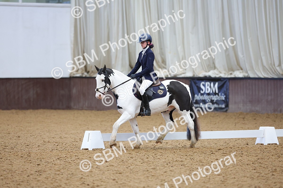 SBM_003065 - Novice