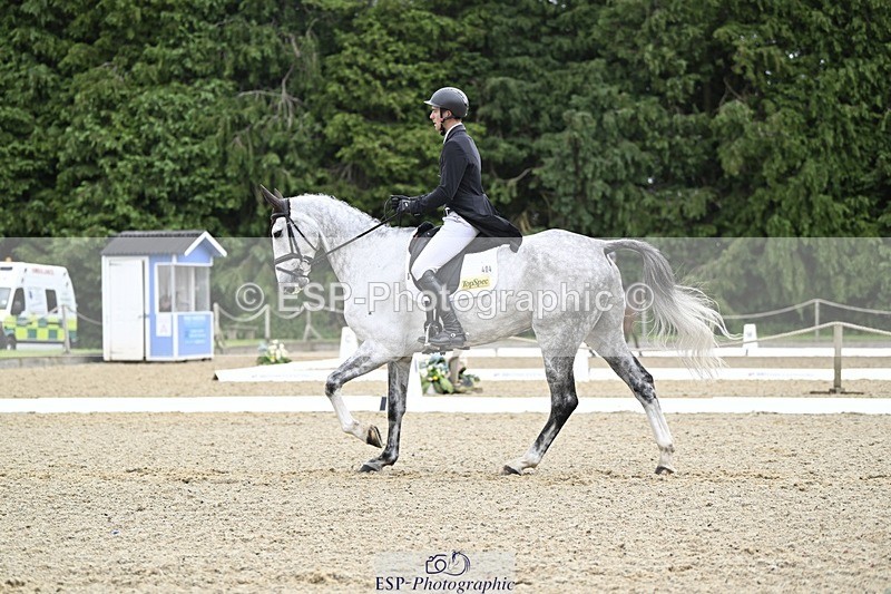 000101-215637-04500 - 404-DEERPAIRC_REVELRY-Max_Warburton