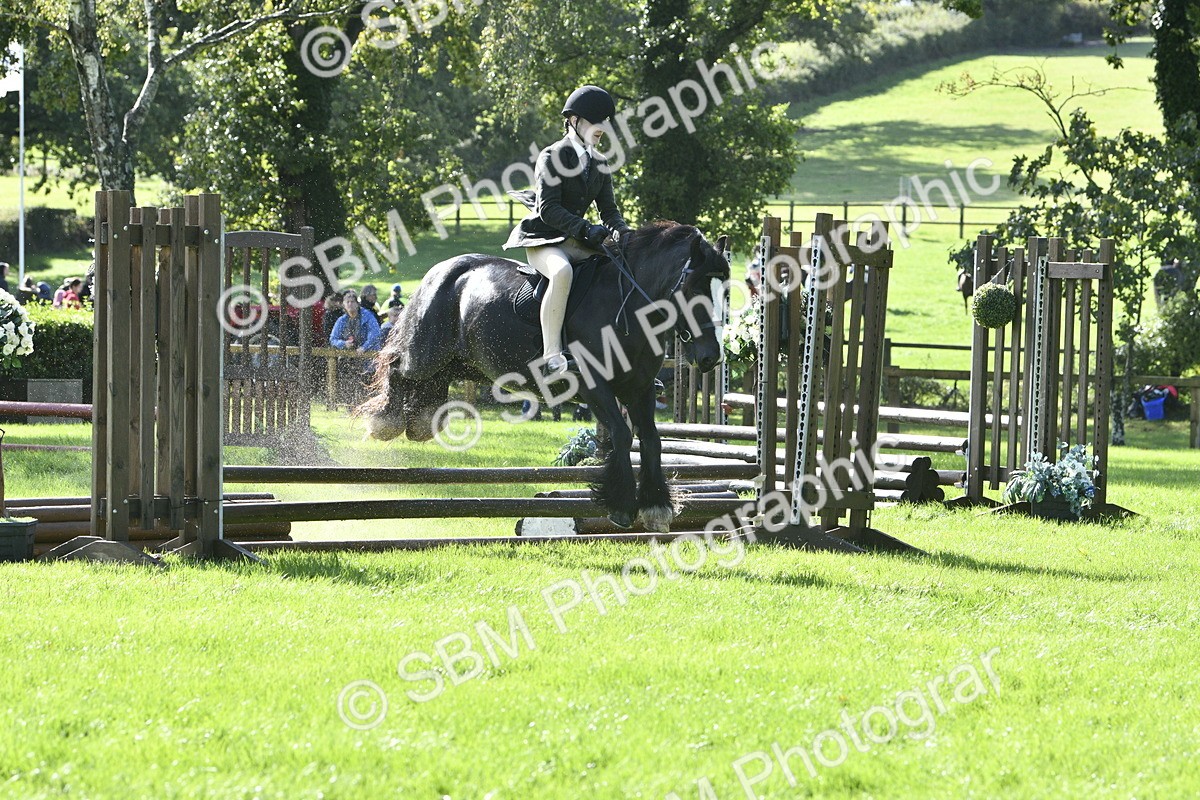 SBM_38166 - S31 - Novice & Newcomer Working Hunter Pony