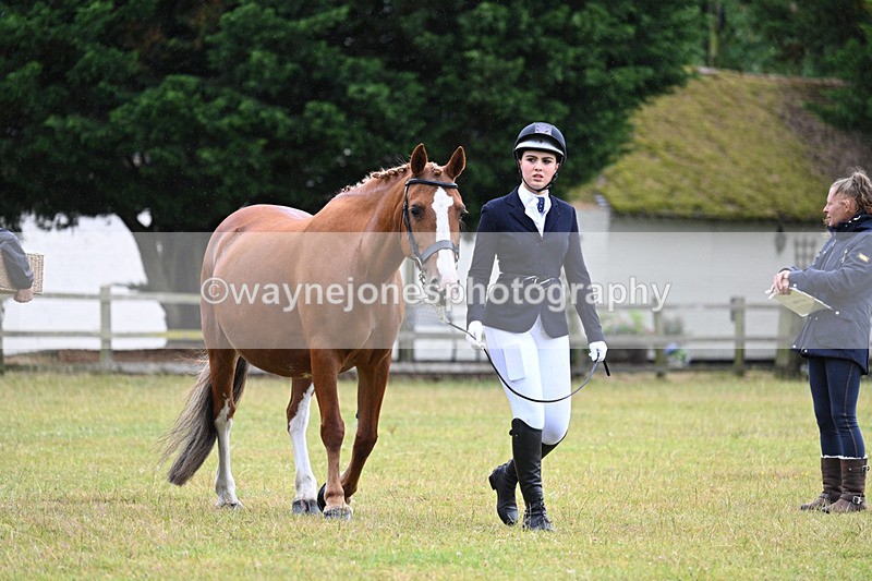 WJ7_5995 - Class 4a Prettiest Mare over 14hh