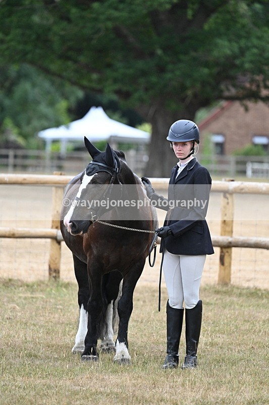 WJ7_9756 - Class 5a Most Handsome Gelding (above 14.2hh)